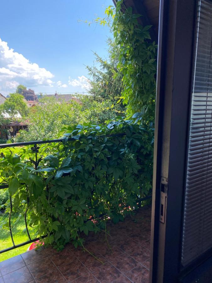 Penzion Country Club Ξενοδοχείο Žamberk Εξωτερικό φωτογραφία